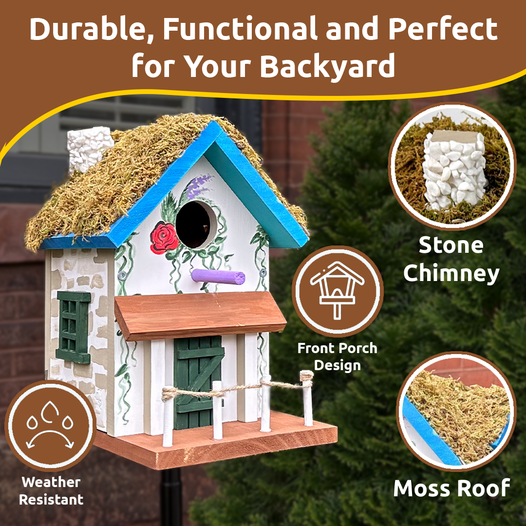 Build & Paint Cottage Birdhouse Maker Kit