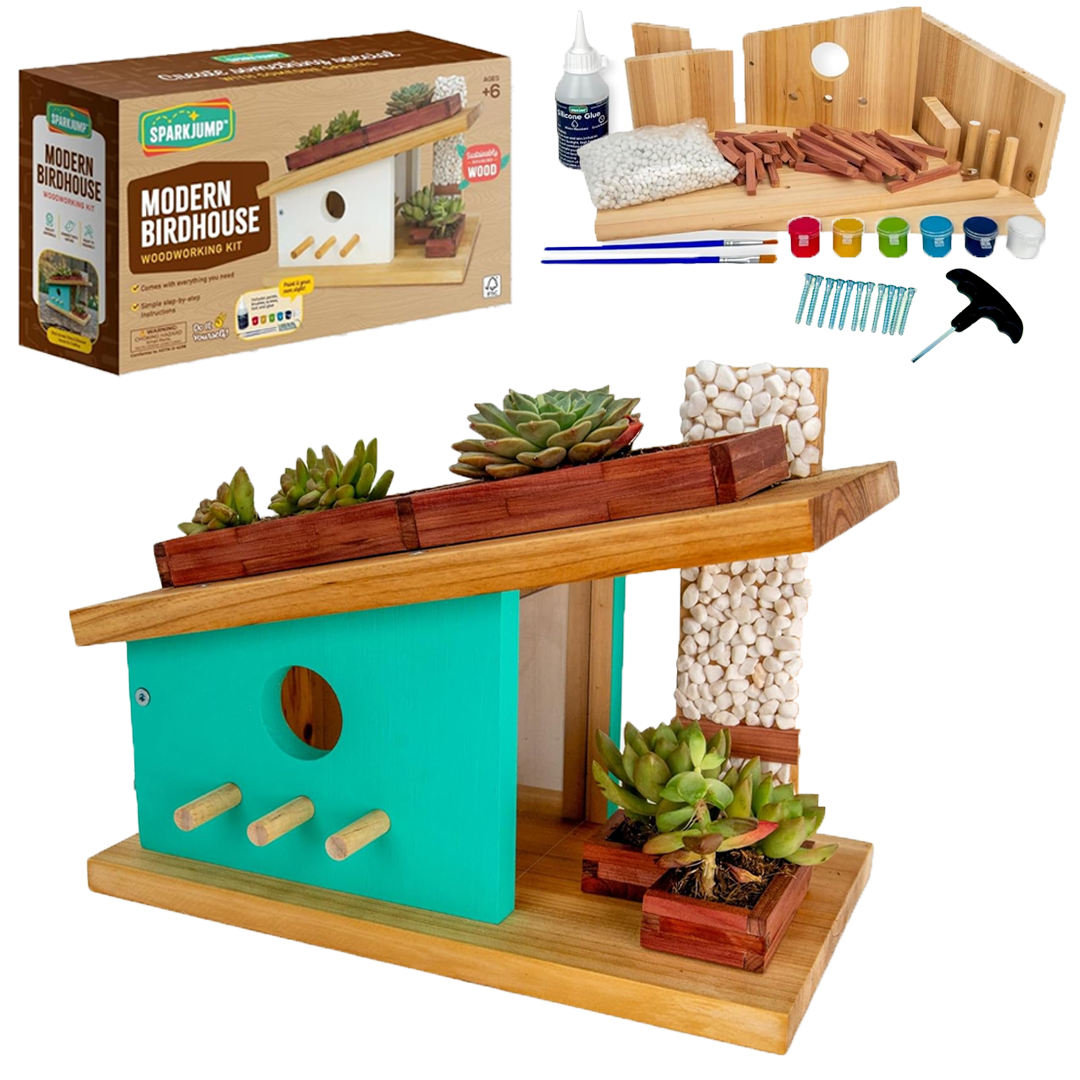 Build & Paint Modern Birdhouse Maker Kit