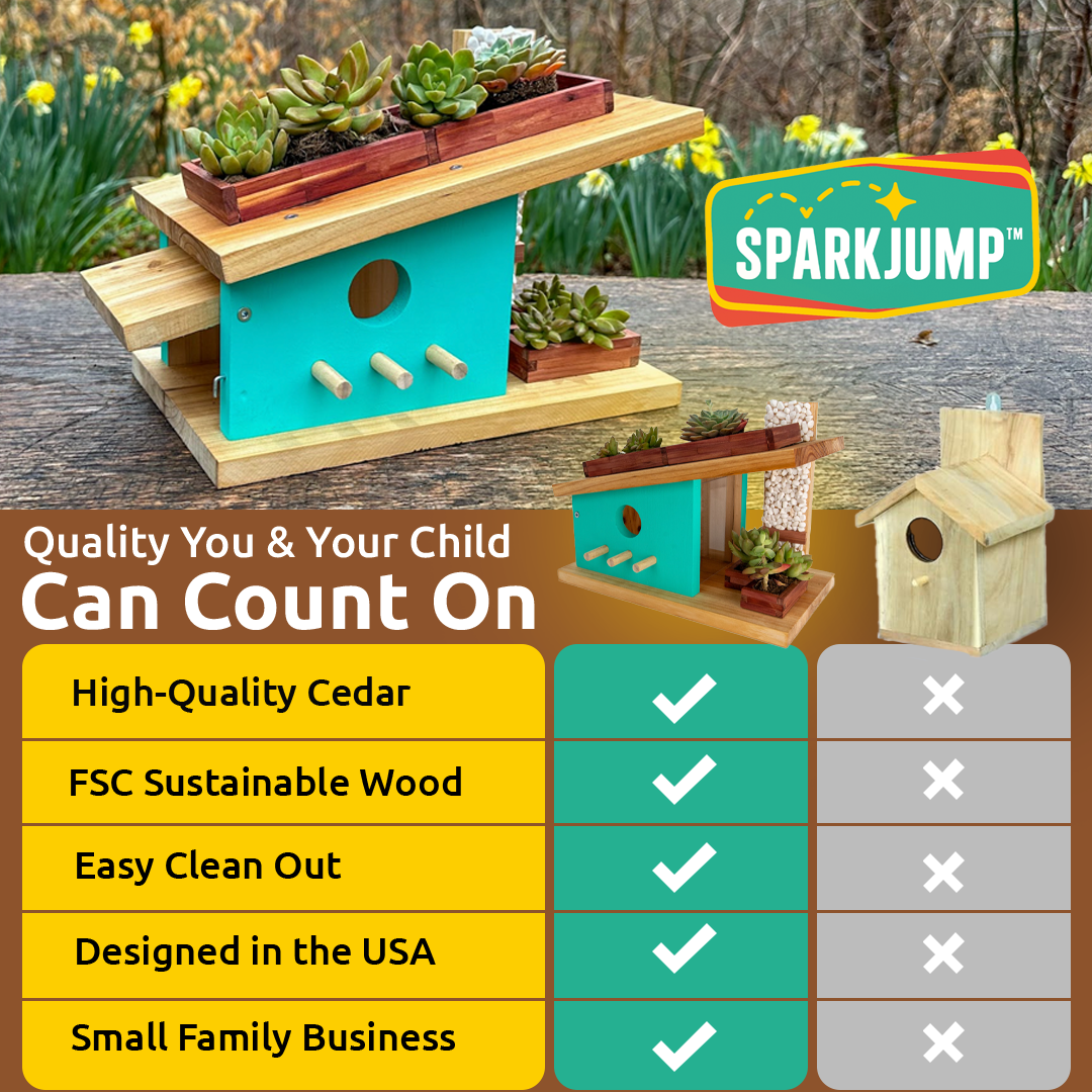 Build & Paint Modern Birdhouse Maker Kit